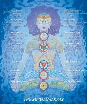7chakras Harish Johari